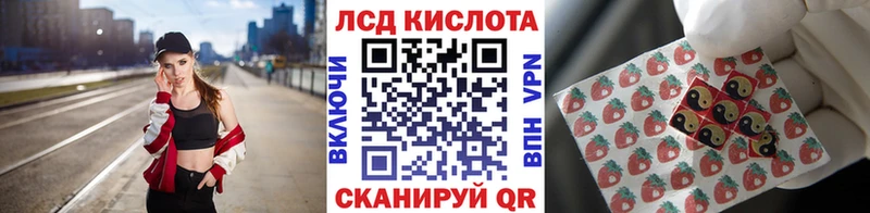 купить наркотик  Багратионовск  Наркотические марки 1,5мг 